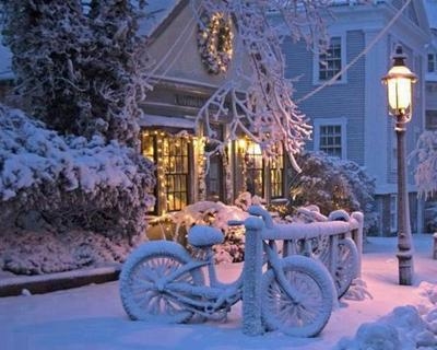 Frozen bikes Frozen bikes