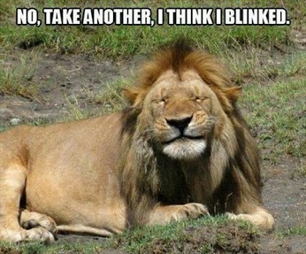 No, take another, I think I blinked