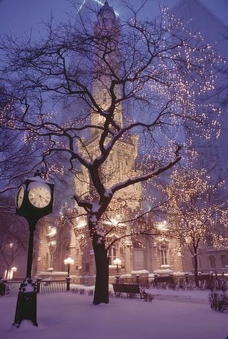 Chicago in the Winter Chicago in the Winter