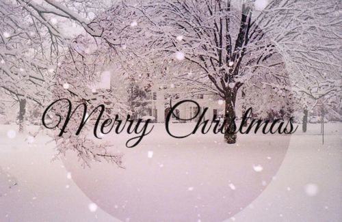 Merry Christmas