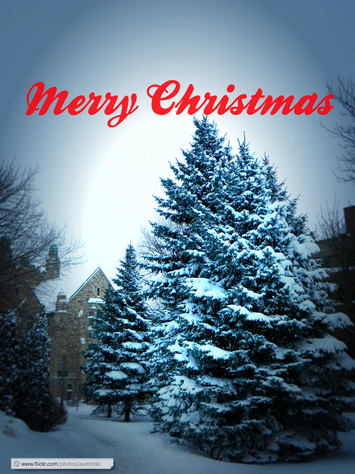 Merry Christmas