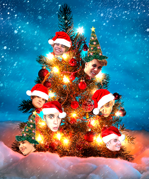 Bieber Tree Bieber Tree