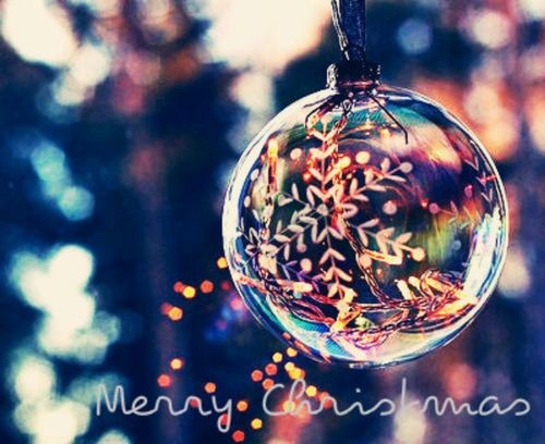 Merry Christmas