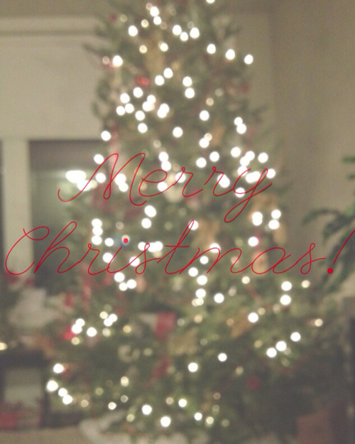 Merry Christmas