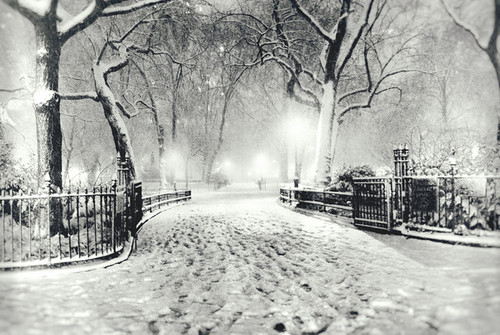 Black and white snowfall Black and white snowfall