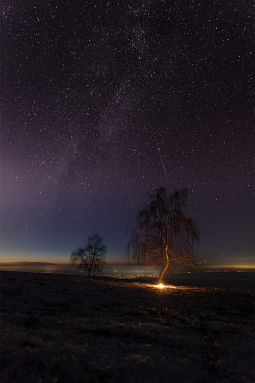 Night fairy