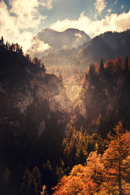 Misty mountians Misty mountians