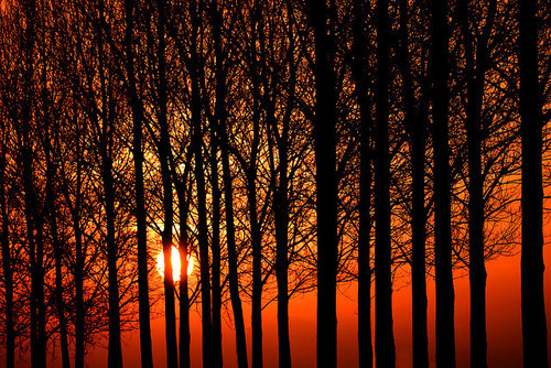 REd orange sunset