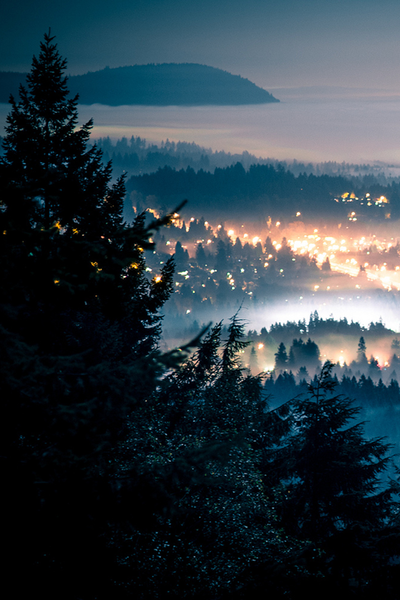 The night comes alive