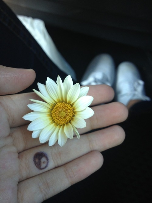 Find peace Find peace
