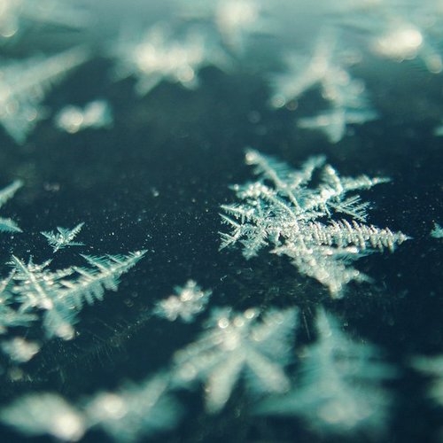 Snow frost Snow frost