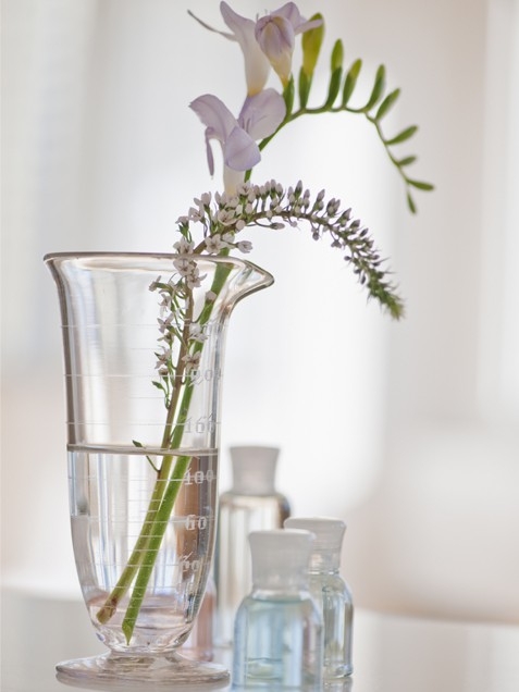 Beautiful beaker