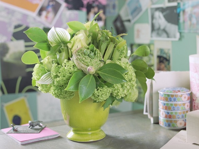 Gorgeous greens Gorgeous greens