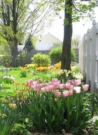 Spring blooms Spring blooms