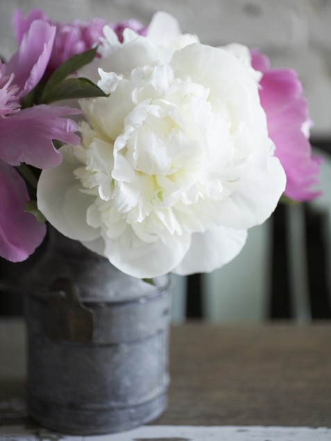 Small floral display arrangement