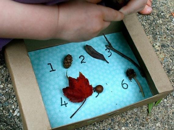 Collecting nature box Collecting nature box