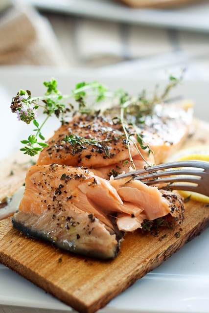 Salmon Salmon