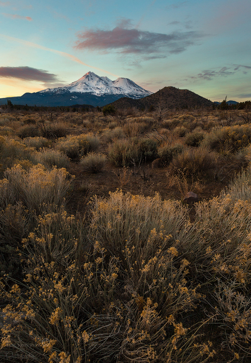 Distant mountains