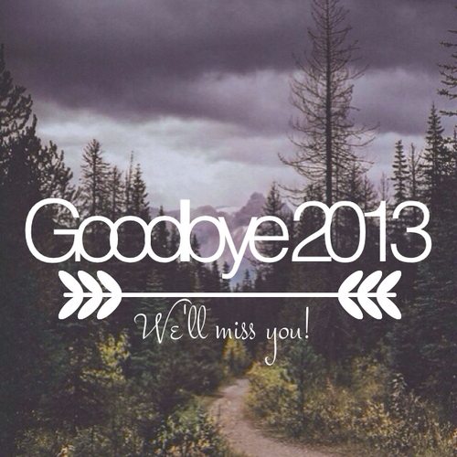 Goodbye 2013, we will miss you
