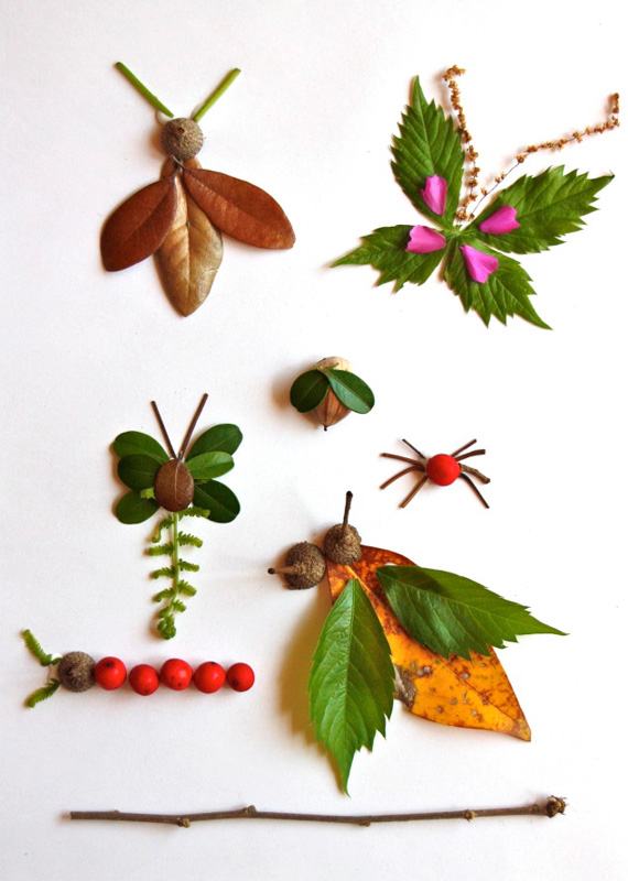 Nature elements bugs Nature elements bugs
