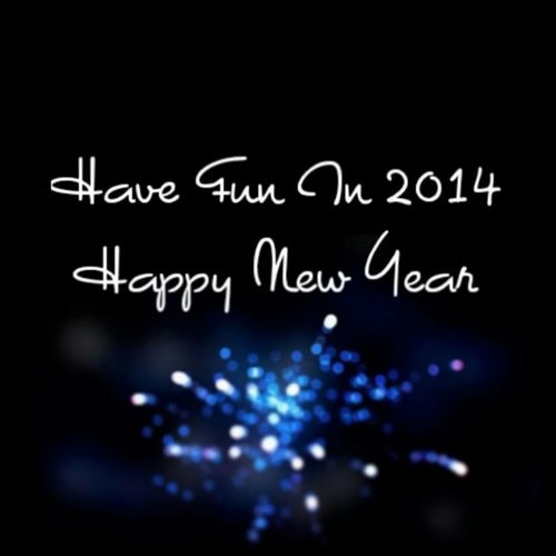 Have fun in 2014 Have fun in 2014