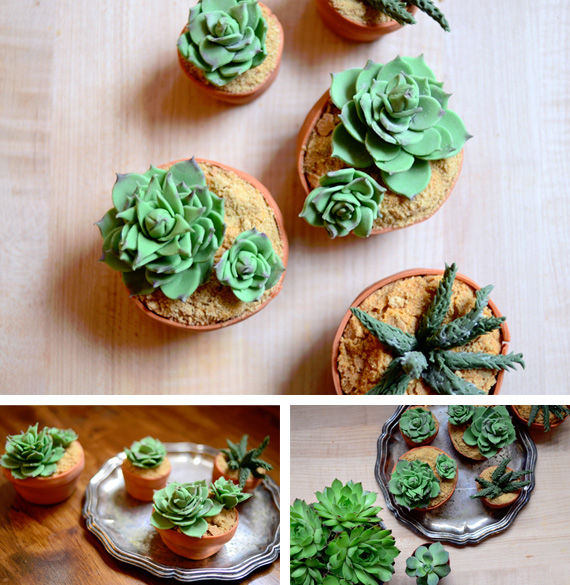 Succulent cupcakes