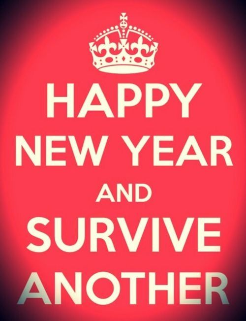 Happy New Year and Survive Another Happy New Year and Survive Another