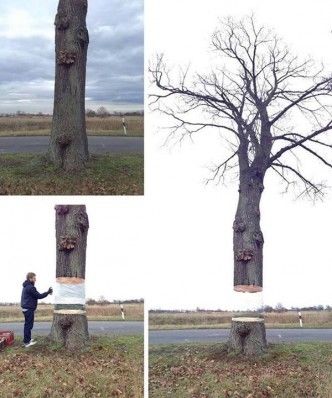 Cool street art