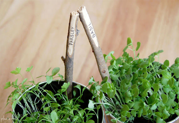 DIY Plant Markers DIY Plant Markers