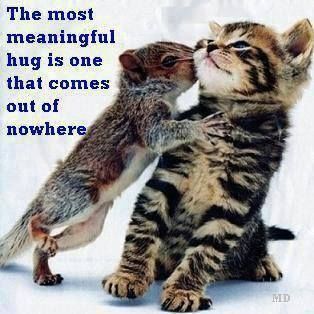 The most meaningful hug... The most meaningful hug...