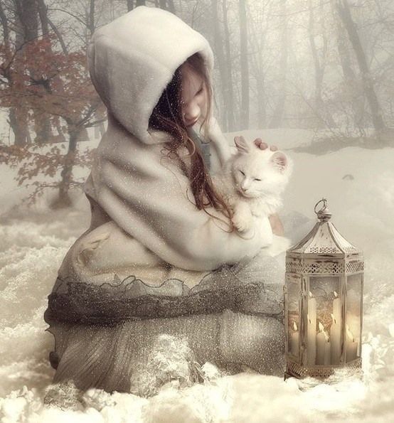 Keeping kitty warm Keeping kitty warm
