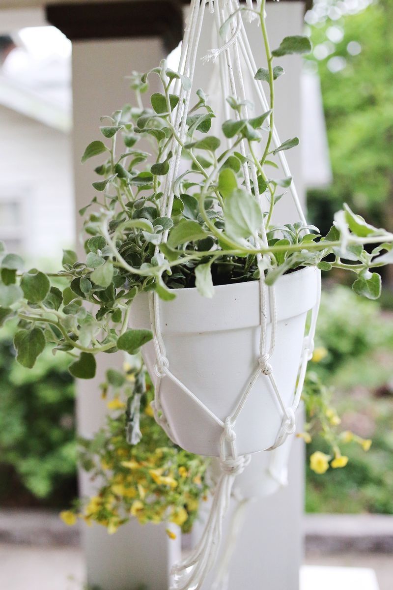 Hanging planters Hanging planters