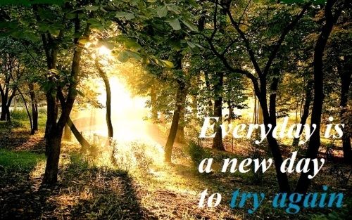 Everyday is a new day to try again Everyday is a new day to try again