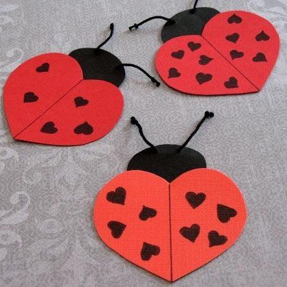 Lovely ladybugs Lovely ladybugs
