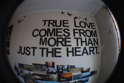 True love comes from more than just the heart True love comes from more than just the heart