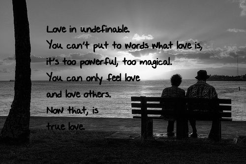 Love is undefinable