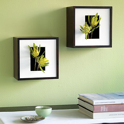 Shadowbox wall vase Shadowbox wall vase