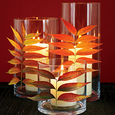 Nature stained glass