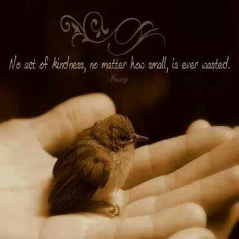 No act of kindness...