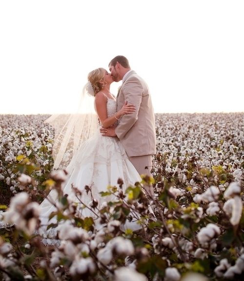Wedding kiss Wedding kiss