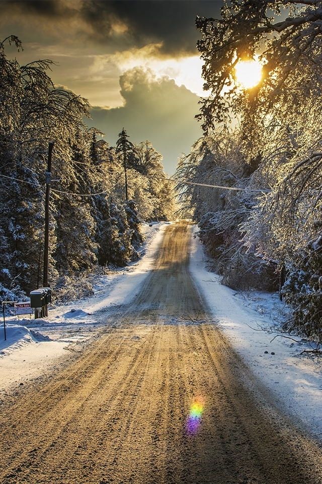 Sunshine in the dead of winter Sunshine in the dead of winter