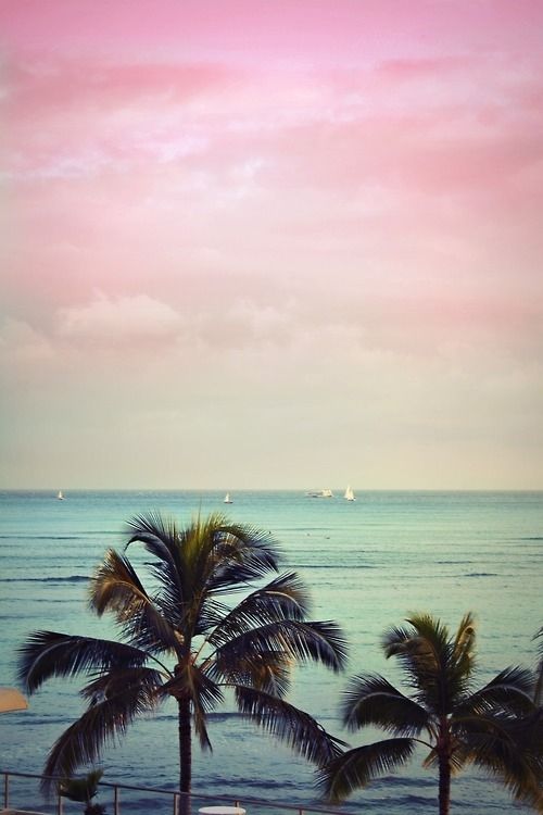 Hello, pink sky