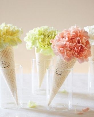 Carnation cones