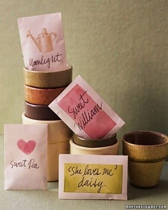 Seed starter valentine