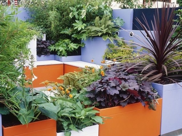 Plants as decor Plants as decor