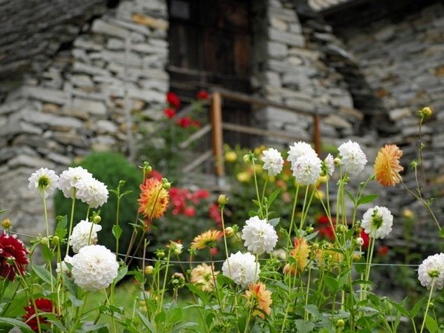 Old Stone Flower Garden Old Stone Flower Garden