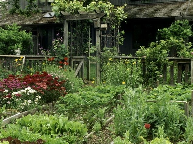 Flower and veggie garden Flower and veggie garden