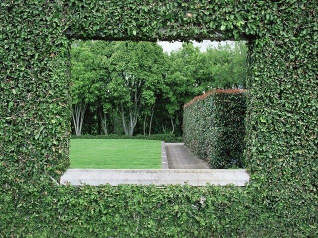 Green Walls