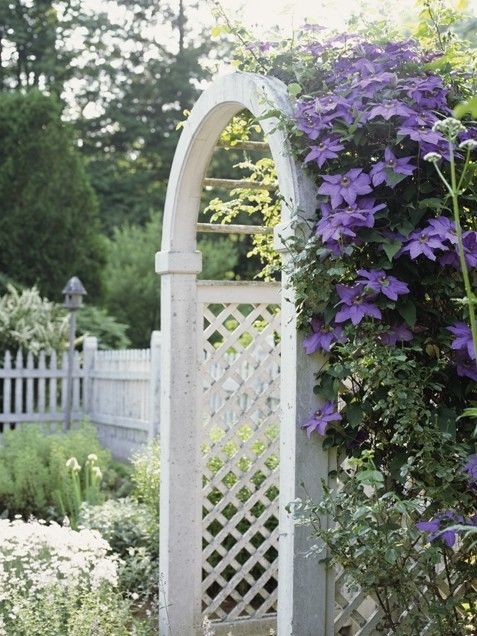 Archway Garden Archway Garden