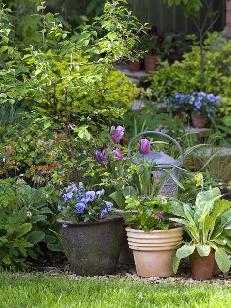 Planting containers